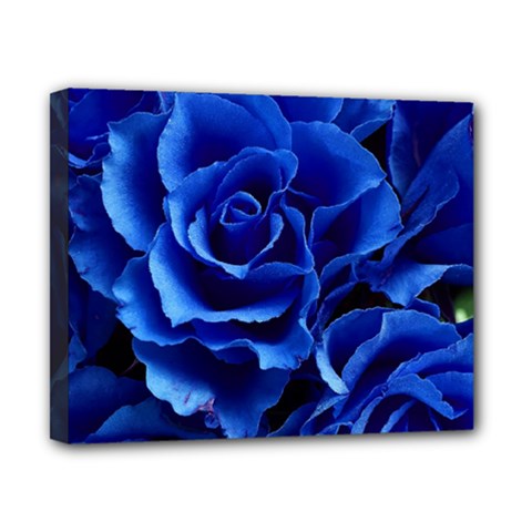 Roses-flowers-plant-romance Canvas 10  X 8  (stretched) by Sapixe