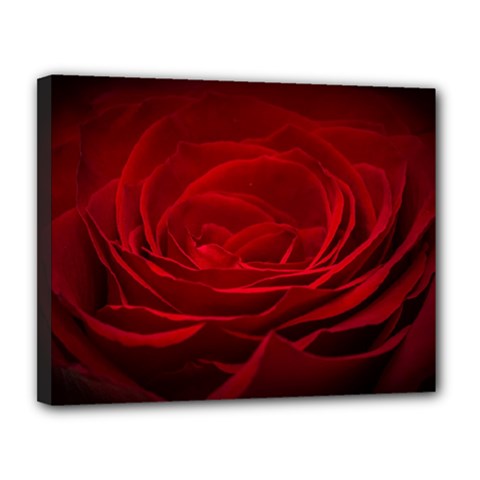 Rose-red-rose-red-flower-petals-waves-glow Canvas 14  X 11  (stretched) by Sapixe