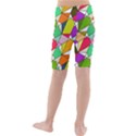 Power Pattern 821-1b Kids  Mid Length Swim Shorts View2