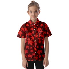 Red Oak And Maple Leaves Kids  Short Sleeve Shirt by Daria3107