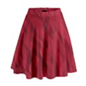 Amaranth High Waist Skirt View1