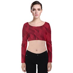 Amaranth Velvet Long Sleeve Crop Top