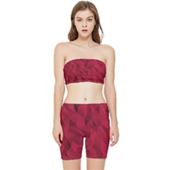 Amaranth Stretch Shorts And Tube Top Set