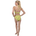 Retro Fun 821c Plunging Cut Out Swimsuit View2