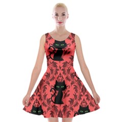 Cat Pattern Velvet Skater Dress by NerdySparkleGoth