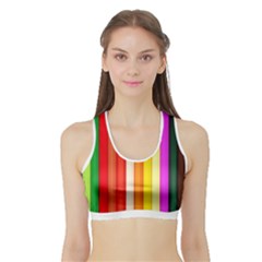 Ultimate Vibrant Sports Bra With Border by hullstuff