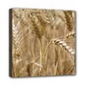 Wheat-field Mini Canvas 8  x 8  (Stretched) View1