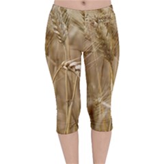 Wheat-field Velvet Capri Leggings  by SomethingForEveryone