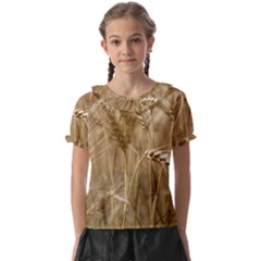 Wheat-field Kids  Frill Chiffon Blouse by SomethingForEveryone