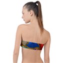 Shimmer 2 Classic Bandeau Bikini Top  View2