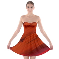 Crimson Strapless Bra Top Dress by kiernankallan