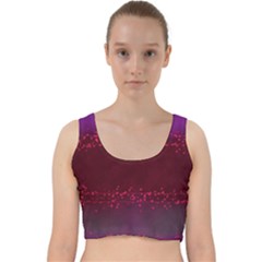 395ff2db-a121-4794-9700-0fdcff754082 Velvet Racer Back Crop Top by SychEva