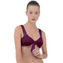 395ff2db-a121-4794-9700-0fdcff754082 Front Tie Bikini Top View1