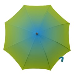 Gradient Blue Green Hook Handle Umbrellas (small) by ddcreations