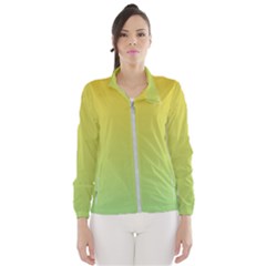 Gradient Yellow Green Women s Windbreaker by ddcreations