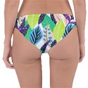 colorfull Reversible Hipster Bikini Bottoms View2