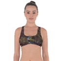 Landscape-cannon-river-mountain Got No Strings Sports Bra View1