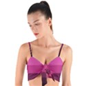 Pink gradient stripes Woven Tie Front Bralet View1