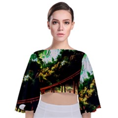 Science-fiction-forward-futuristic Tie Back Butterfly Sleeve Chiffon Top by Sudhe