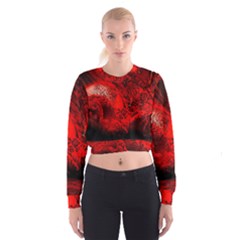 Planet-hell-hell-mystical-fantasy Cropped Sweatshirt by Sudhe