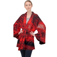 Planet-hell-hell-mystical-fantasy Long Sleeve Velvet Kimono  by Sudhe