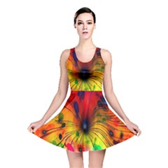 Color-background-structure-lines Reversible Skater Dress by Sudhe