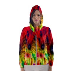 Color-background-structure-lines Women s Hooded Windbreaker