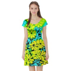 Chrysanthemums Short Sleeve Skater Dress