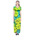 Chrysanthemums Short Sleeve Maxi Dress View1