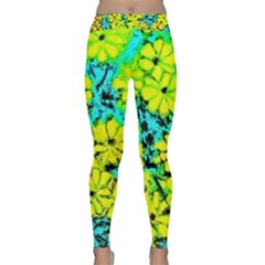 Chrysanthemums Classic Yoga Leggings by Hostory