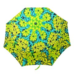 Chrysanthemums Folding Umbrellas by Hostory