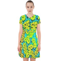 Chrysanthemums Adorable In Chiffon Dress