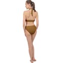 Metallic Mesh Screen 2-gold Halter Side Cut Swimsuit View2