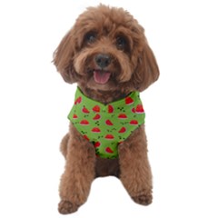 Juicy Slices Of Watermelon On A Green Background Dog Sweater