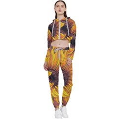 Sunflower Cropped Zip Up Lounge Set by Sparkle