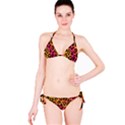 Leopard Print Classic Bikini Set View3