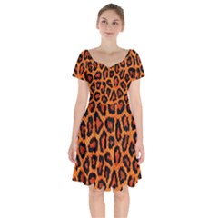 Leopard-print 3 Short Sleeve Bardot Dress by skindeep