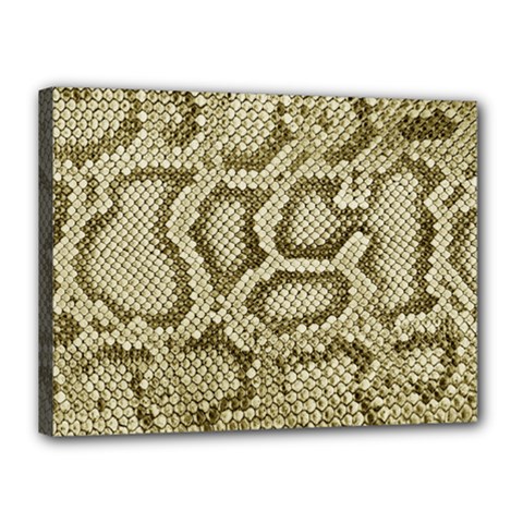 Leatherette Snake 4 Canvas 16  X 12  (stretched) by skindeep