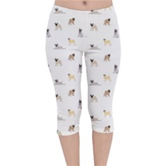 Funny Pugs Velvet Capri Leggings  by SychEva