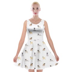 Funny Pugs Velvet Skater Dress by SychEva