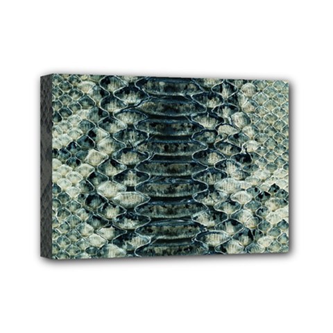 Snake Skin-29 Alt Mini Canvas 7  X 5  (stretched) by skindeep