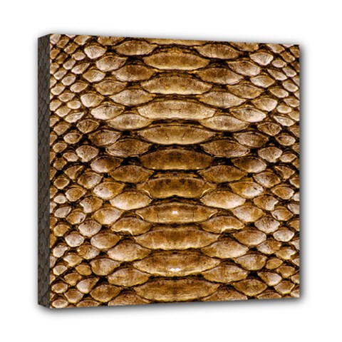 Reptile Skin Pattern 11 Mini Canvas 8  X 8  (stretched) by skindeep