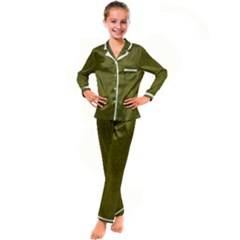 Leatherette 6 Green Kid s Satin Long Sleeve Pajamas Set