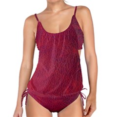 Cracked Leather 2 Tankini Set