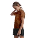 Aged Leather Kids  Frill Chiffon Blouse View2