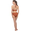 Faux Leather Brown 2 Halter Side Cut Swimsuit View2