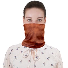 Faux Leather Brown 2 Face Covering Bandana (adult)