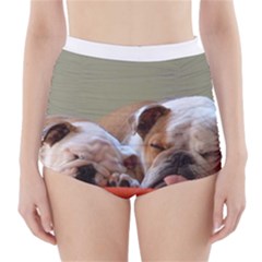 2 Sleeping Bulldogs High-waisted Bikini Bottoms by SomethingForEveryone