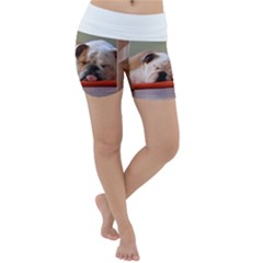 2 Sleeping Bulldogs Lightweight Velour Yoga Shorts by SomethingForEveryone