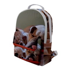 2 Sleeping Bulldogs Flap Pocket Backpack (large) by SomethingForEveryone